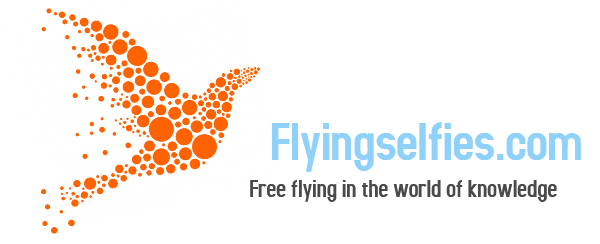 Flyingselfies.com