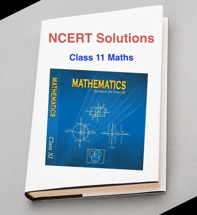 Maths NCERT Solutions Class 11- Detailed Overview